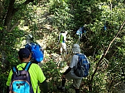 PA220008.JPG (636556 bytes)