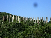 PA220020.JPG (477024 bytes)