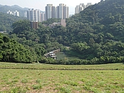 PA290009.JPG (554127 bytes)