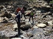 PA290075.JPG (632538 bytes)