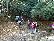 PA290111.JPG (615278 bytes)