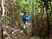 PB050087.JPG (760040 bytes)