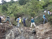 PB120031.JPG (657276 bytes)