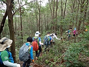 PB190033.JPG (568836 bytes)