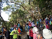 PC030012.JPG (643699 bytes)