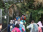 PC100014.JPG (575147 bytes)