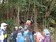 PC170019.JPG (428032 bytes)