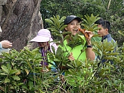 PC170072.JPG (552364 bytes)
