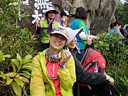 PC170077.JPG (523204 bytes)