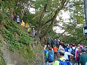 PC240009.JPG (517466 bytes)