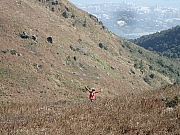 PC310073.JPG (682993 bytes)