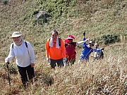 PC310080.JPG (713987 bytes)