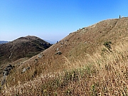 PC310103.JPG (656096 bytes)
