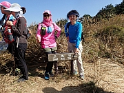 PC310121.JPG (657714 bytes)