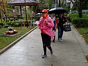 P1070003.JPG (416270 bytes)