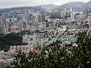 P1070026.JPG (449478 bytes)