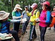 P1070044.JPG (424161 bytes)