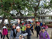 P1140004.JPG (448175 bytes)