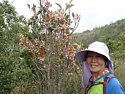 P1280095.JPG (425473 bytes)