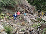 P1280136.JPG (705500 bytes)