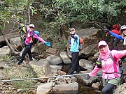 P1280142.JPG (535885 bytes)