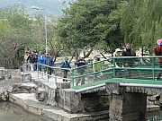 P2040013.JPG (503637 bytes)