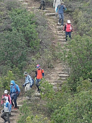 P2040078.JPG (470694 bytes)