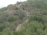 P2040080.JPG (497591 bytes)