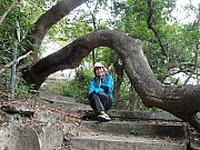 P2040156.JPG (543305 bytes)