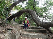 P2040159.JPG (587220 bytes)