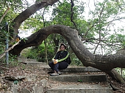P2040160.JPG (558301 bytes)