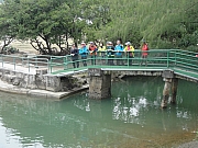 P2040172.JPG (434297 bytes)