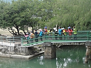 P2040174.JPG (488831 bytes)