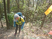 pic_Wai_019.jpg (681818 bytes)