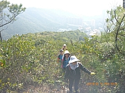 pic_Wai_022.jpg (452588 bytes)