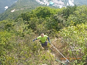 pic_Wai_029.jpg (748931 bytes)