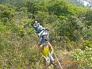 pic_Wai_036.jpg (756984 bytes)