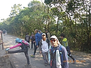 pic_Wai_047.jpg (511278 bytes)