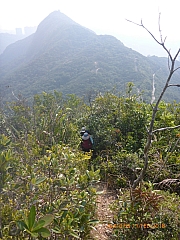 pic_Wai_057.jpg (489881 bytes)