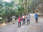 pic_Wai_069.jpg (513477 bytes)