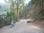 pic_Wai_070.jpg (489922 bytes)
