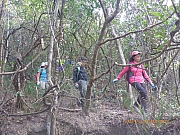 pic_Wai_071.jpg (635266 bytes)