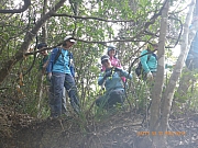 pic_Wai_076.jpg (470822 bytes)