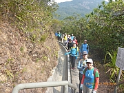 pic_Wai_078.jpg (626528 bytes)