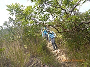 pic_Wai_084.jpg (660426 bytes)