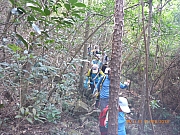 pic_Wai_095.jpg (566740 bytes)