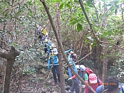 pic_Wai_096.jpg (553347 bytes)