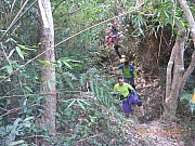 pic_Wai_097.jpg (620101 bytes)
