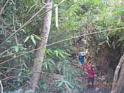 pic_Wai_098.jpg (614214 bytes)