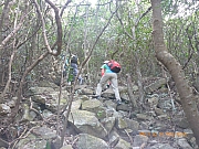 pic_Wai_099.jpg (565882 bytes)
